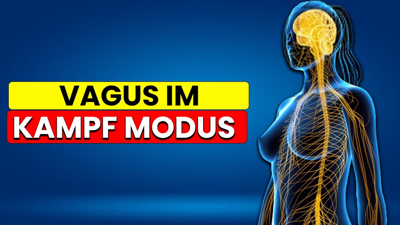 Der Vagus Check Ist Dein Nervensystem Im Kampf Modus