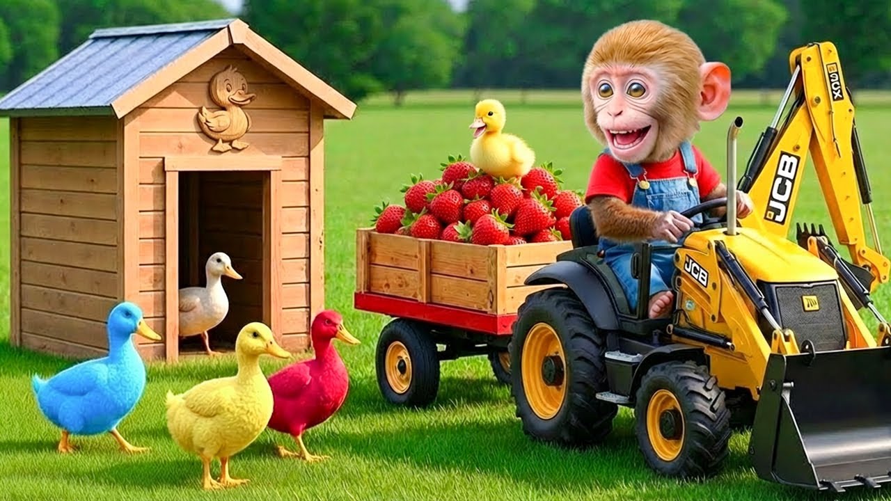 Monkey Sisi the JCB Tractor Excavator to Rescue the Missing Duckling - Unexpected Farm Adventure