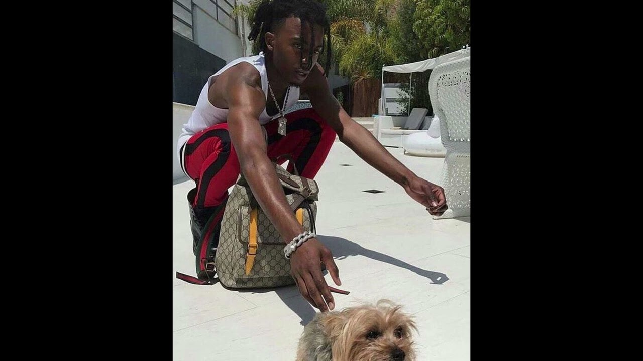 [FREE] Old Playboi Carti x MexikoDro Plugg Type Beat 