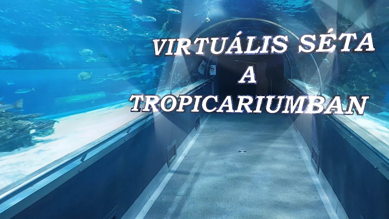 Virtuális séta a Tropicarium