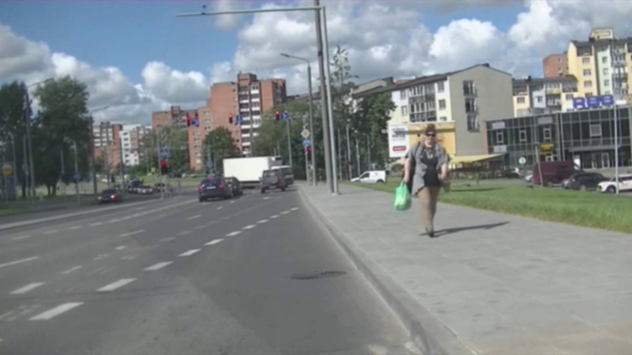 55 Santariškės - Laisvės pr. - Fabijoniškės - Lazdynai