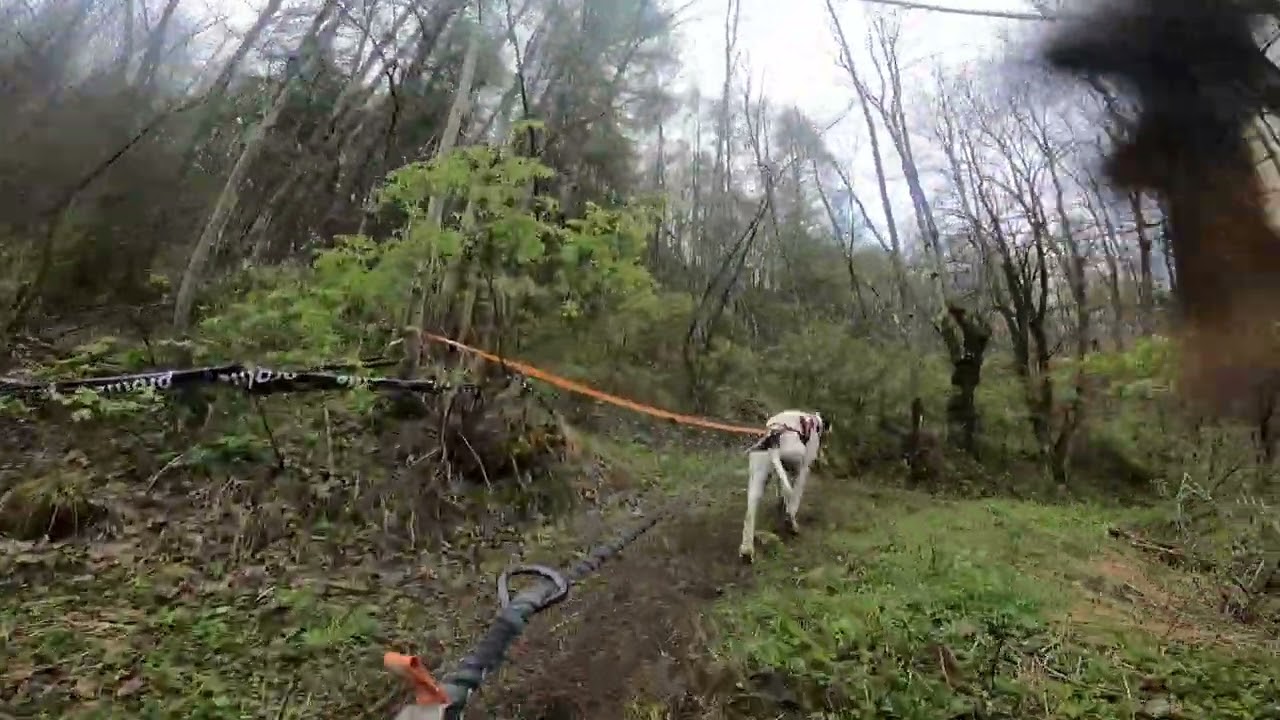 27.04.2024 YetiBardoRace. Test Race ICF WORLD CHAMPIONSHIP 2024 🇮🇹 Kilian Dogscooter parte1