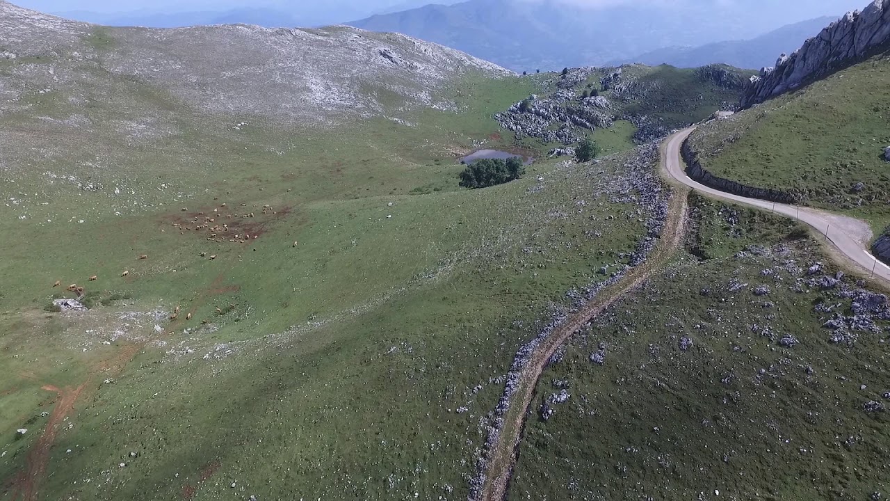 GAMONITEIRO   ASTURIAS