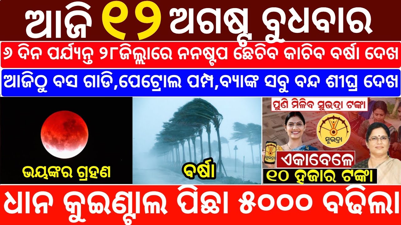 Today's Odia News/12 August 2026/Odisha News Today/PM Kisan Yojana/Subhadra Yojana/odisha news