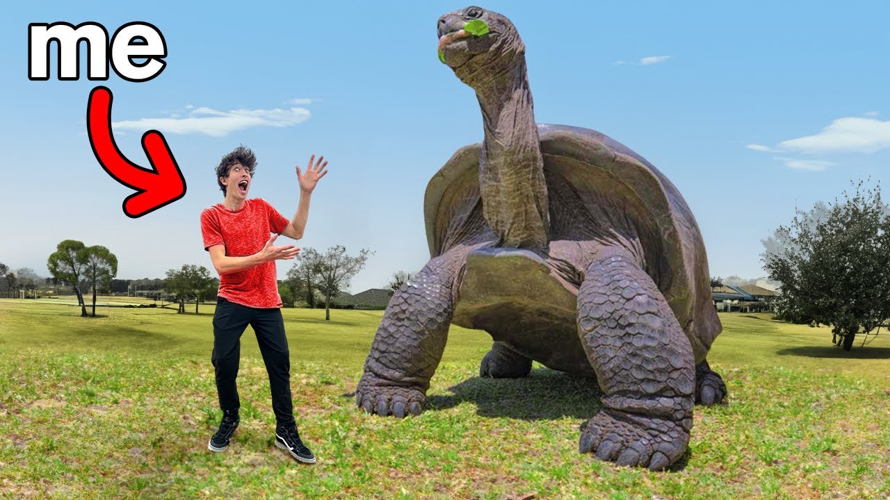 Real or Fake Extinct Animals!￼