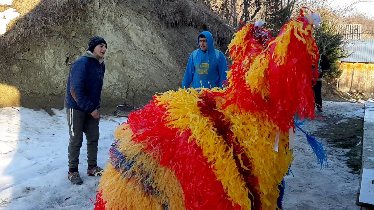 Tradiţii de Anul Nou - Chiojdeni, Vrancea 2018-2019 (3)