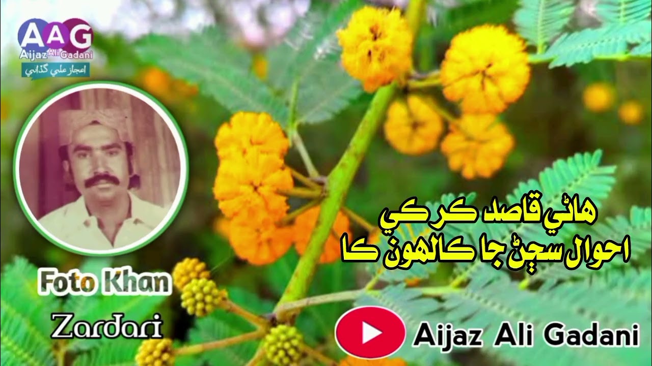 Haji Qasid Kar Ki Ahwal Sajan Ja Kalho Ka FOTO KHAN ZARDARI BY AIJAZ ALI GADANI 