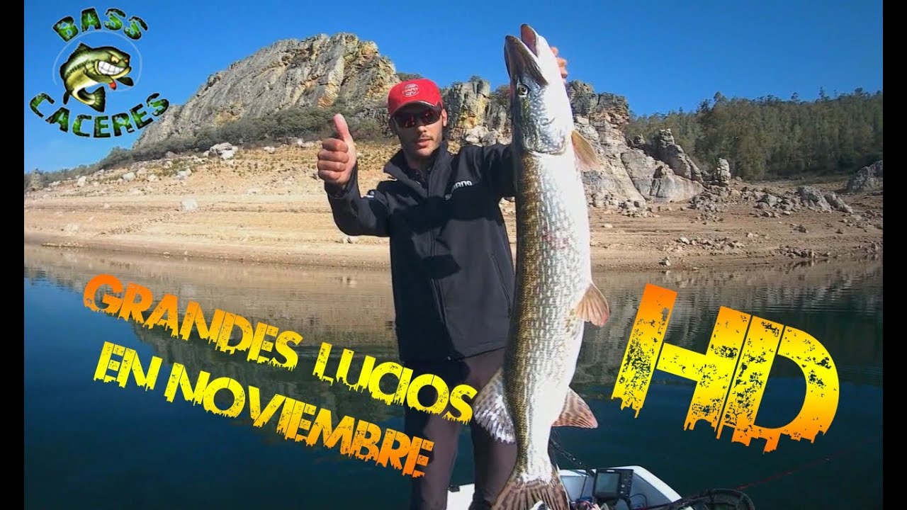 Grandes Lucios con varias técnicas | Saco un BIG LUCIO!