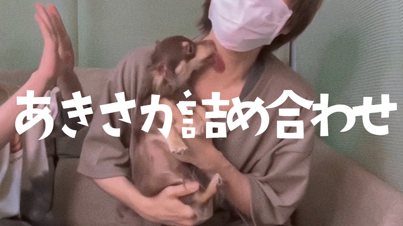 あきちゃんといちゃこら（噛）さかたん詰め合わせ