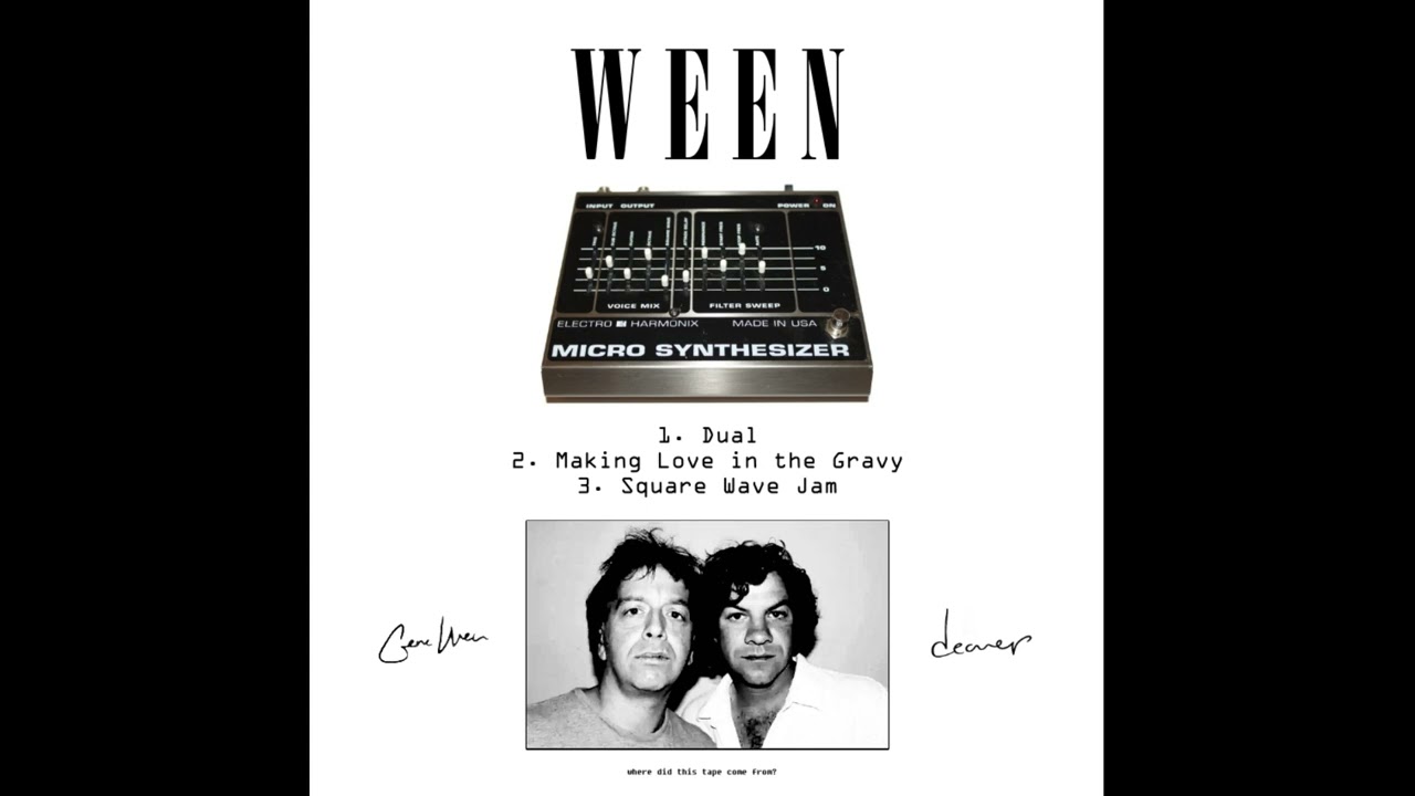 Ween - Electro Harmonix Micro Synth Demo