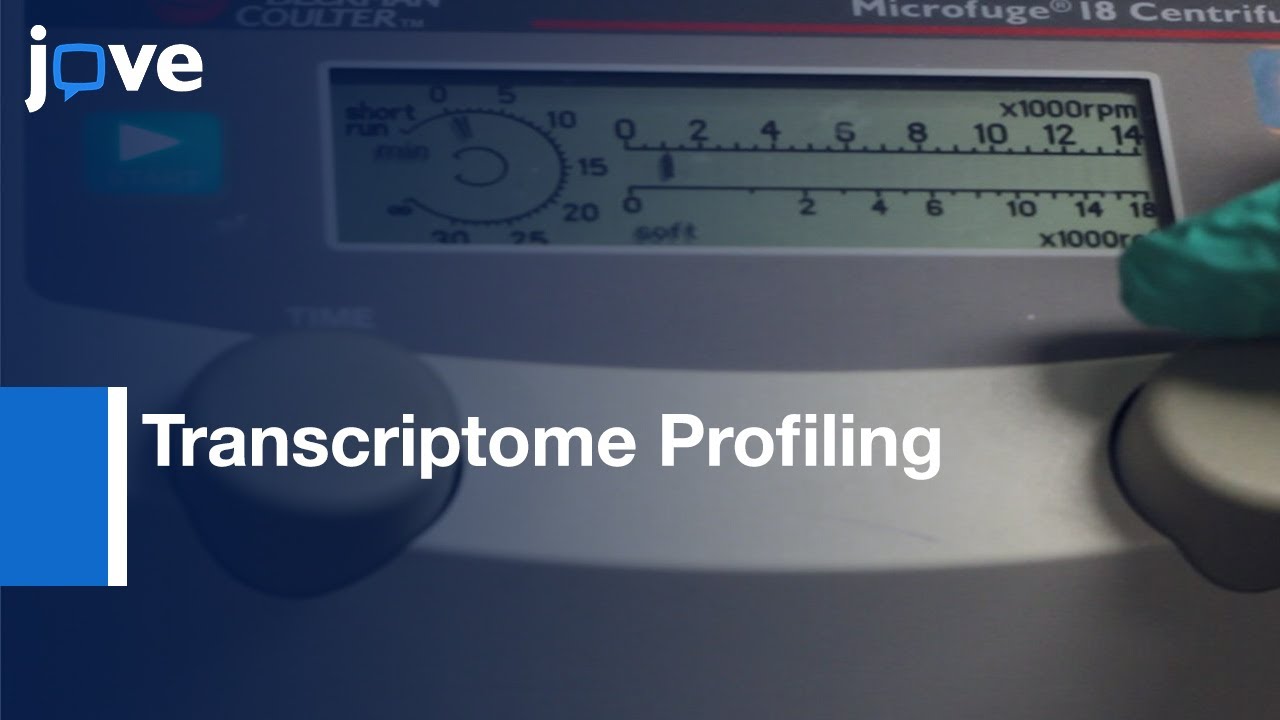 Transcriptome Profiling of Embryos using Microarray platform | Protocol Preview