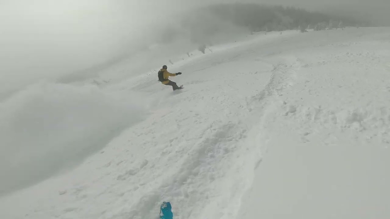Jackson Hole - Rendezvous Bowl (3-9-22)