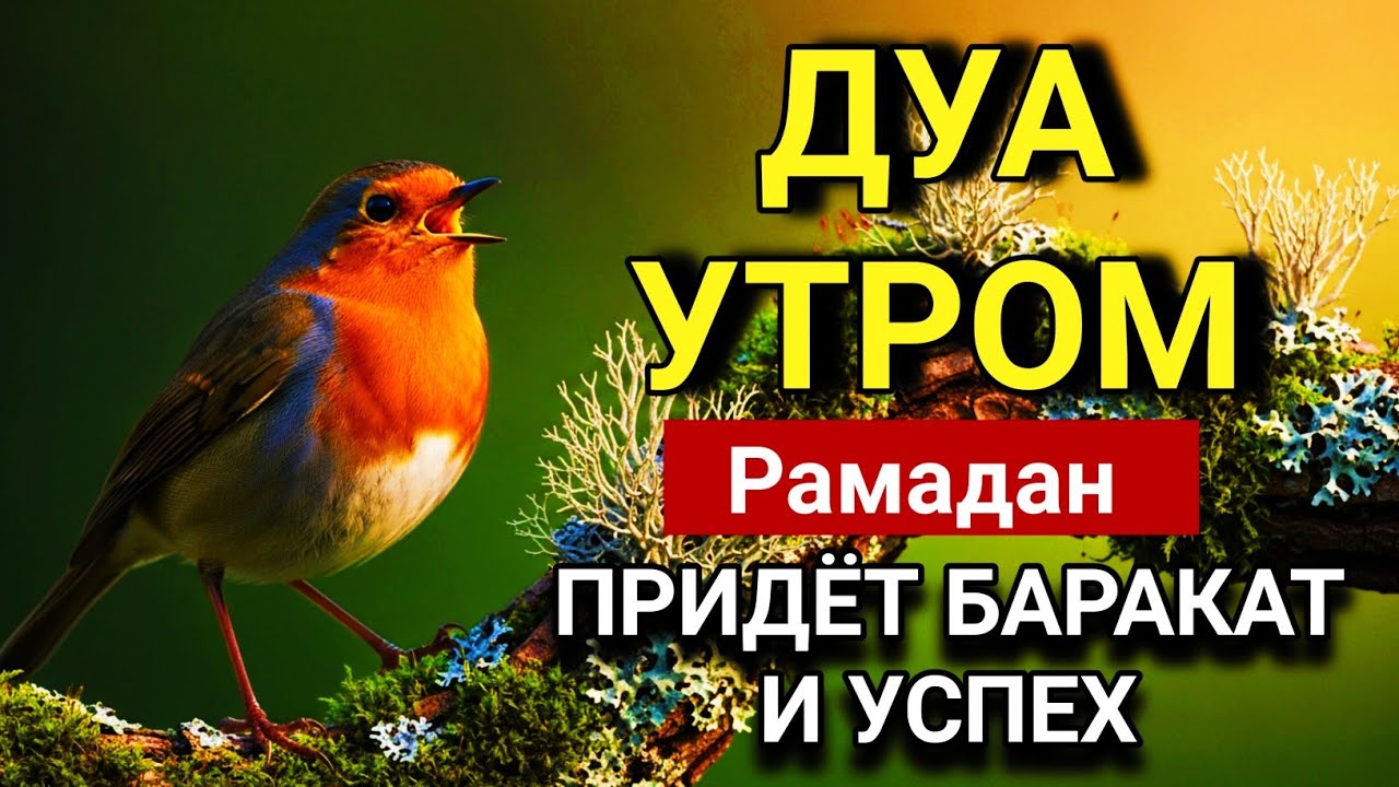 💙🔑 УТРЕННИЙ БАРАКАТ РАМАДАНА, ДУА УТРОМ 🤲✨💯