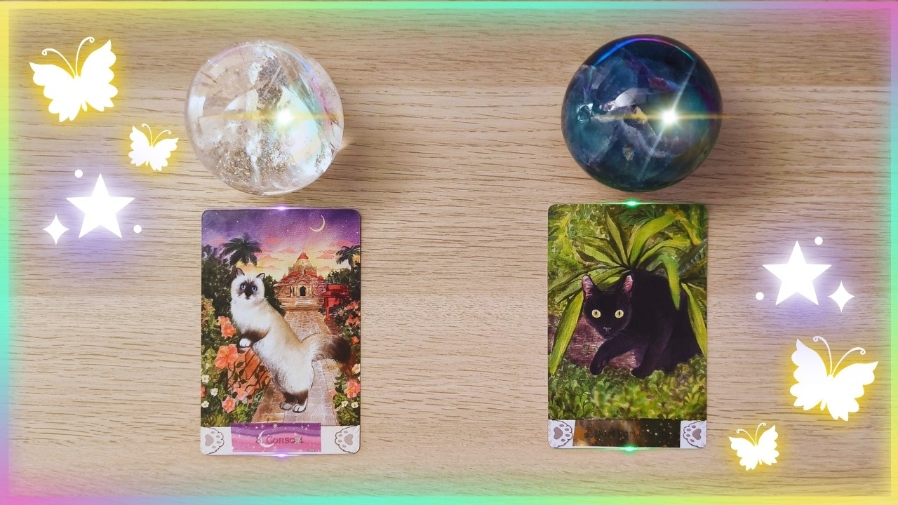 &iexcl;ESTO TE LLEGAR&Aacute; ANTES DE 7 D&Iacute;AS! 🦋🌸✨ | Tarot Espiritual