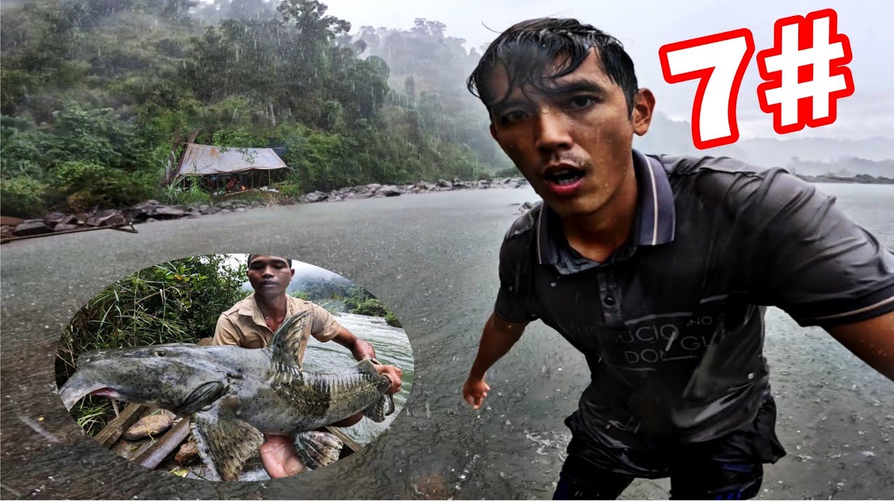 SĂN Cá Rừng Mưa | 7 Ngày Ngủ Trong Rừng Hái Rau - Bắt Cá - Tìm Thức Ăn