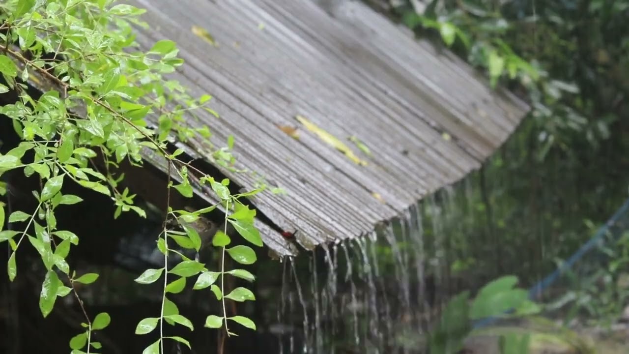 Pioggia leggera in una capanna nella foresta