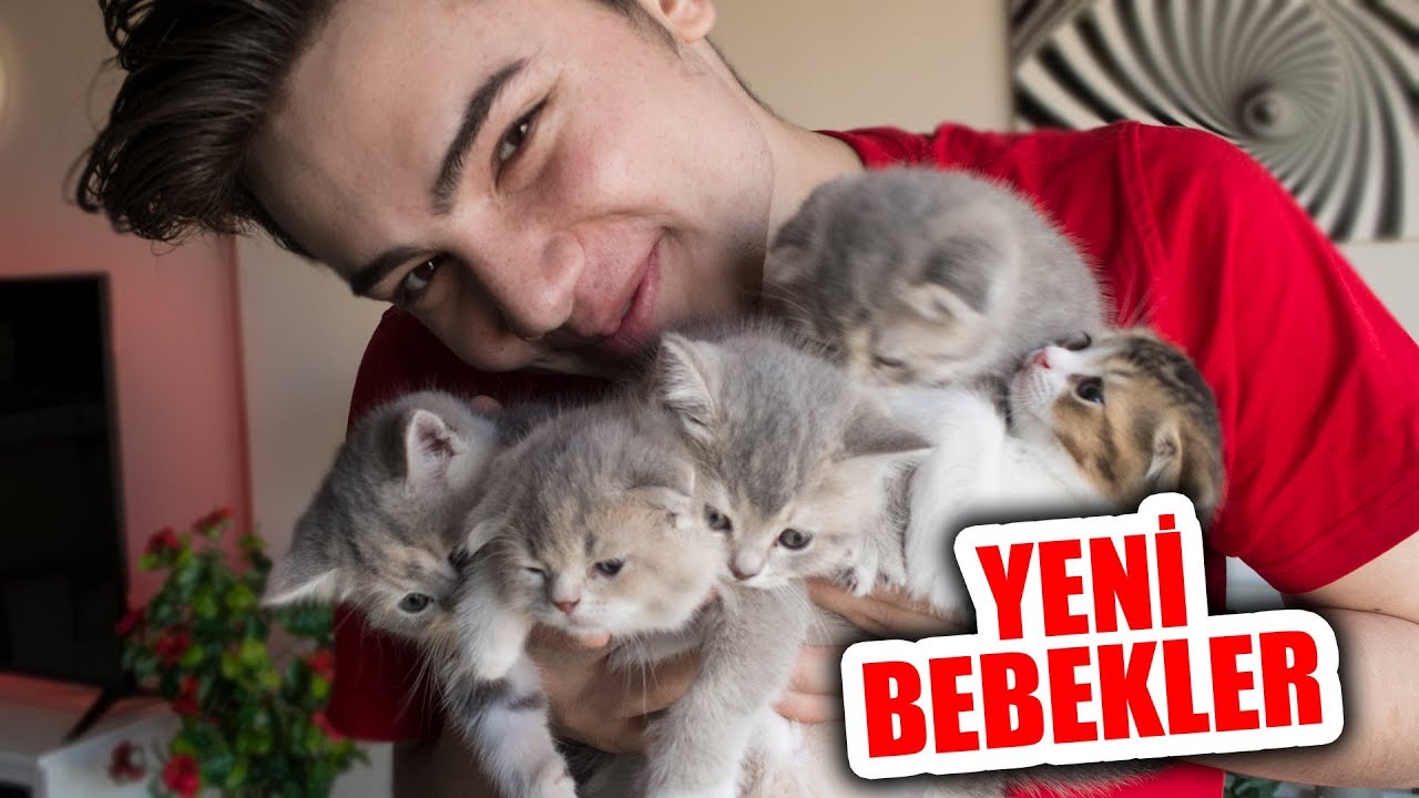 KEDİM DOĞUM YAPTI (Bir sürü bebekk..)