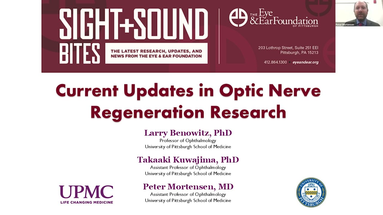 Sight + Sound Bites: Current Updates in Optic Nerve Regeneration Research