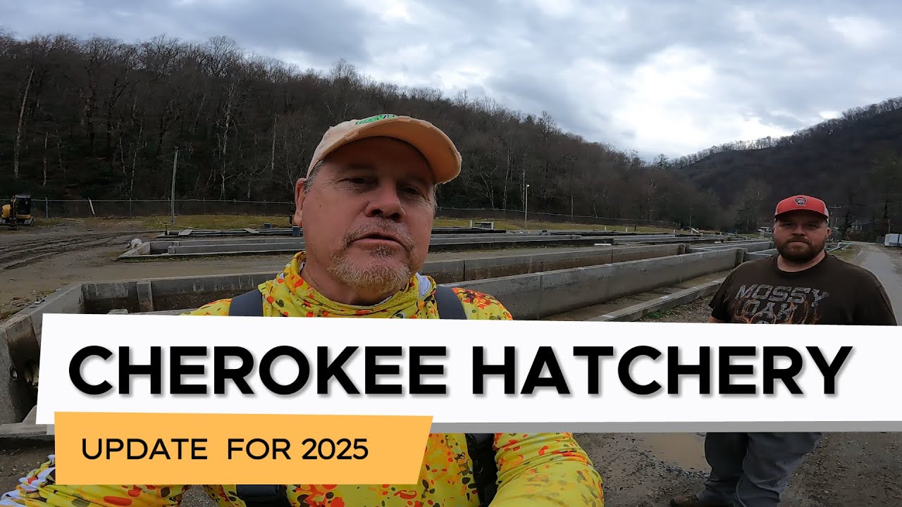 Cherokee Hatchery — обновление 2025 г.