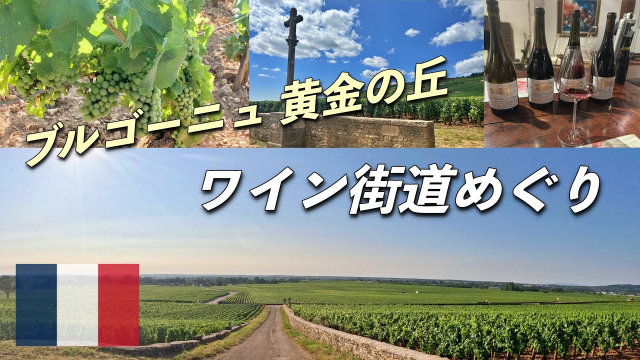 ブルゴーニュ ワイン街道めぐり🇫🇷🍷｜ユーレイルパスでフランス一周の鉄道旅｜会社を辞めて１ヶ月ヨーロッパ旅行