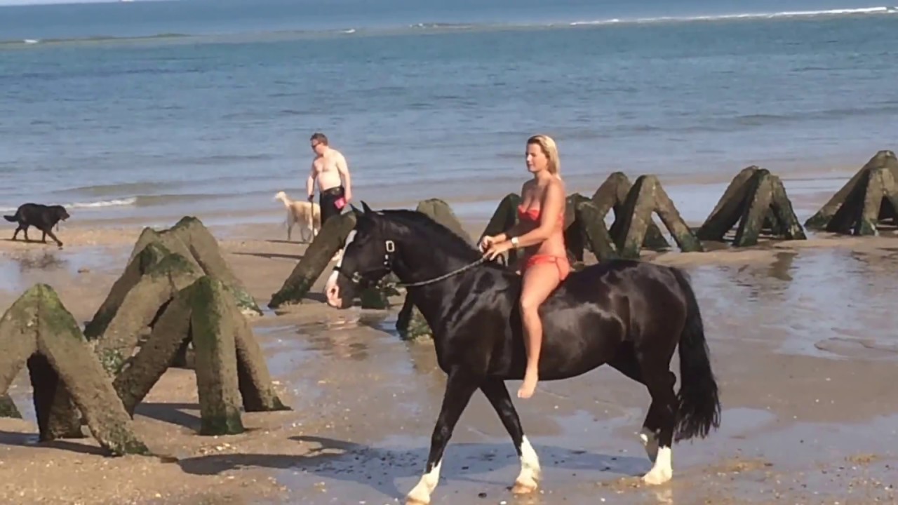 Balade à pied et baignade avec son cheval -Soulac sur mer-