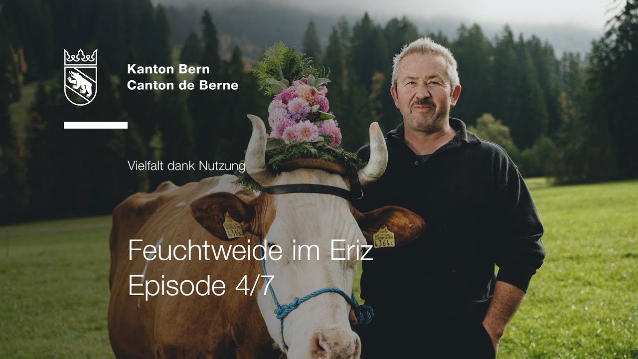 Vielfalt dank Nutzung – Feuchtweide im Eriz (Podcast Episode 4/7)