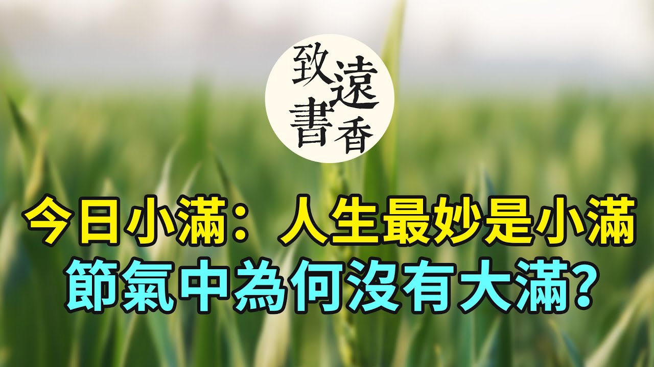 今日小滿：人生最妙是小滿！節氣中為何沒有大滿？二十四節氣小滿 -致遠書香