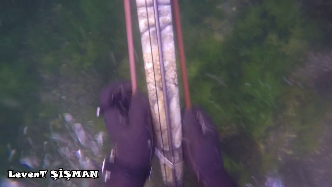 Omer INVICTUS HF 90 | Halıdere Karısık Zıpkın Avı | Spearfishing