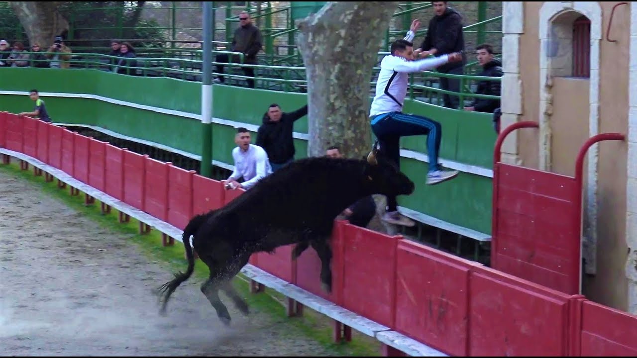 AIGUES VIVES COURSE D'ENTRAÎNEMENT 08.02.2020