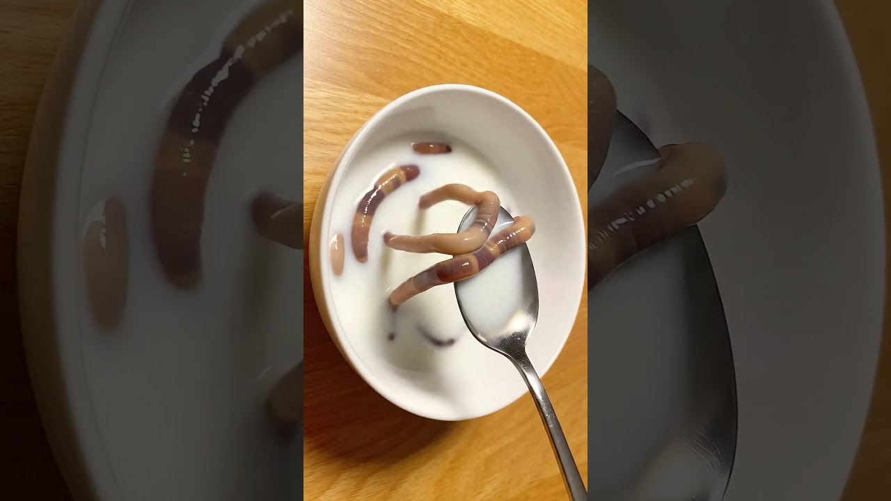 Worms wriggle through oat milk in one surreal ASMR shot 🪱🥛✨ #ASMR