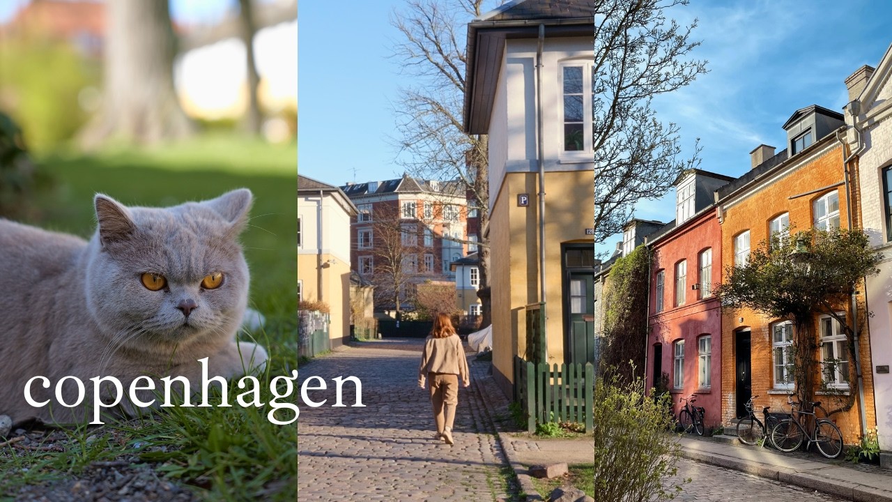 copenhagen vlog