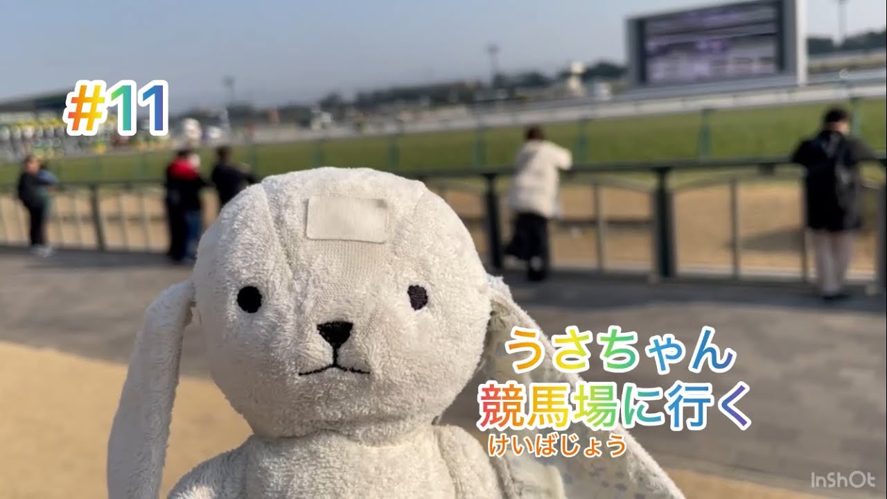 #11 うさちゃん競馬場に行く