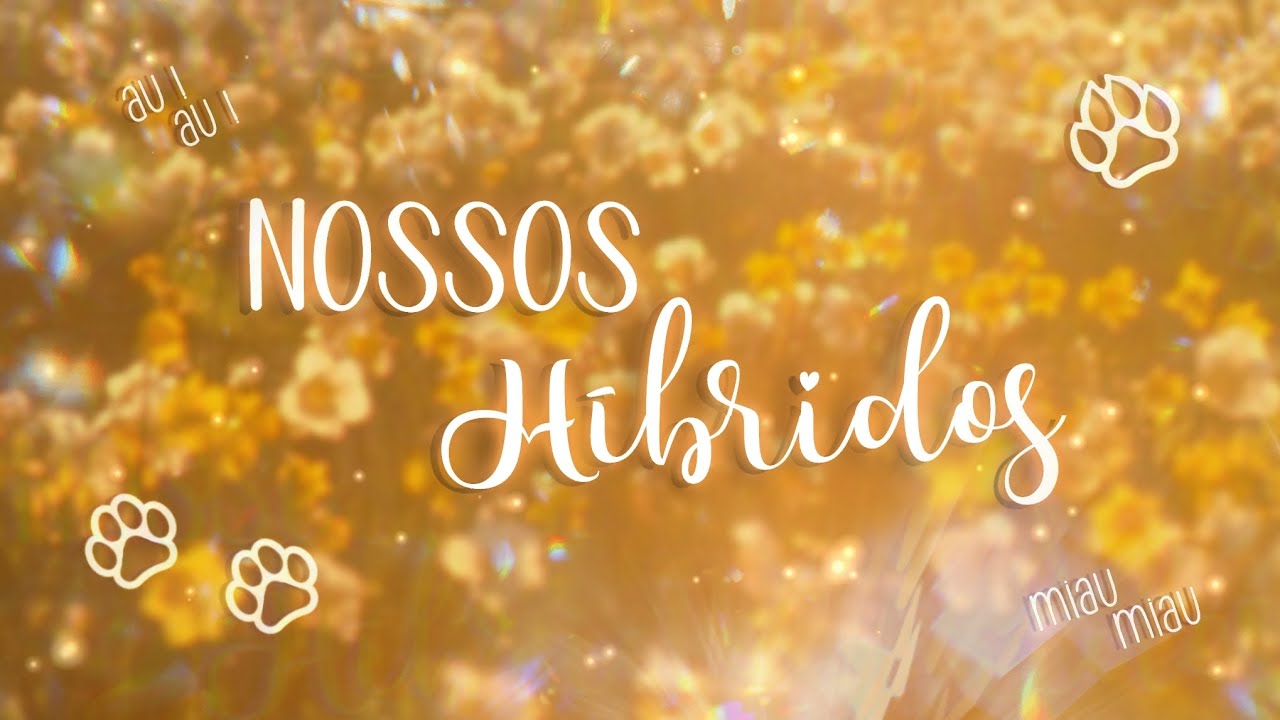 [𝐀𝐒𝐌𝐑 𝐇𝐈𝐁𝐑𝐈𝐃𝐎𝐒 🐾 ]-Chocolate e amigos. (especial de páscoa)