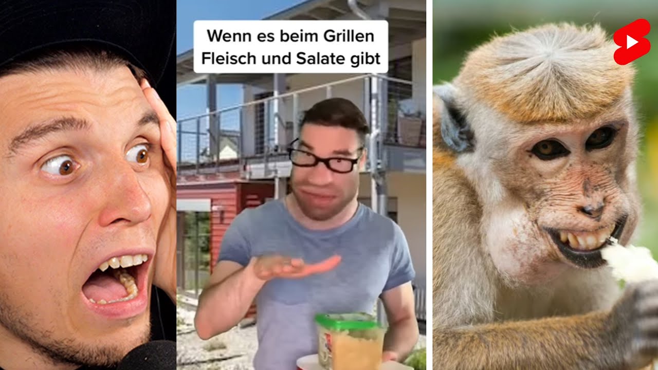 Paluten guckt Shorts 86.0