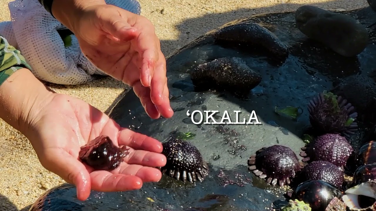 ʻOhiʻohi ʻana ma Hāmākuapoko me Leinaʻala