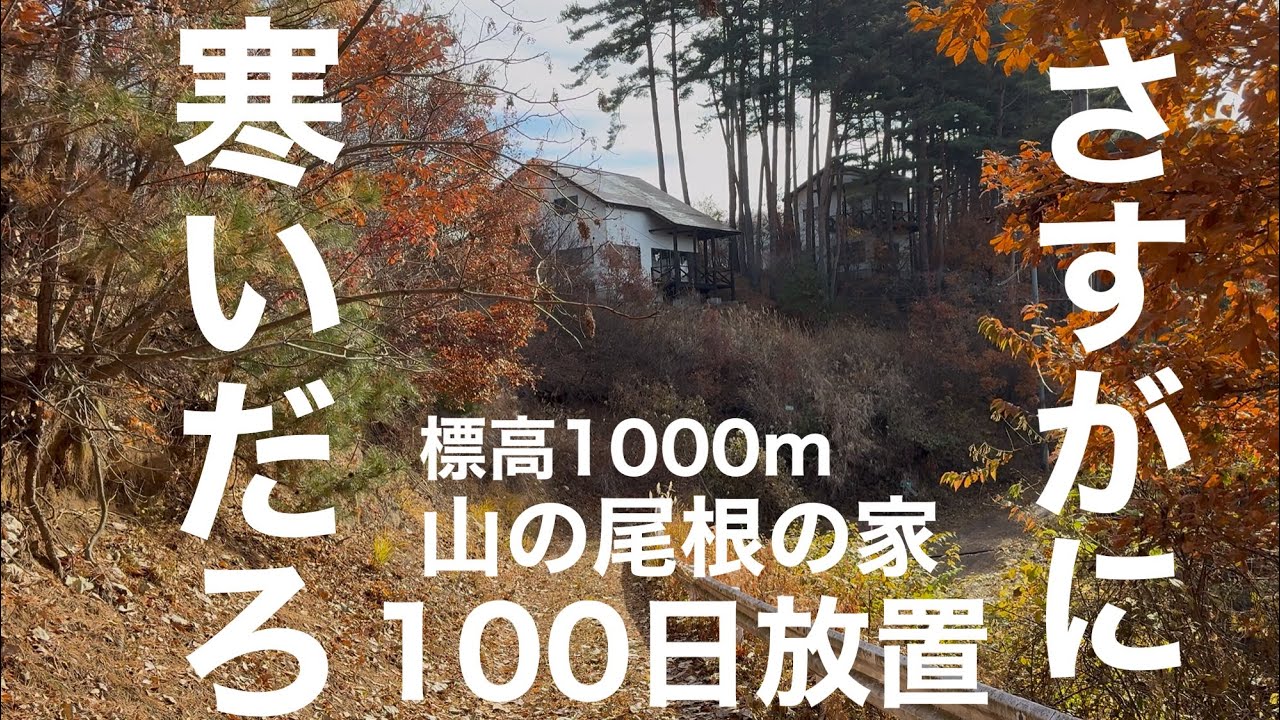 ４ヶ月間ほったらかした家はこうなります。