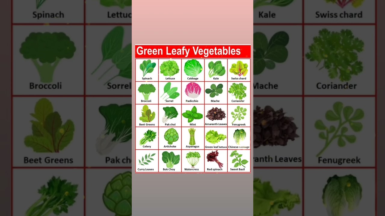 Green Leafy Vegetables Name in English 🥬 | Learn Vegetable Names Easily
