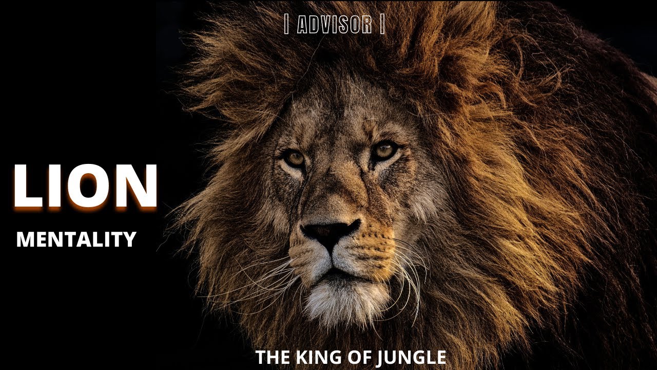 LION mentality | why is lion called the king of jungle | powerful motivation speech | inspire