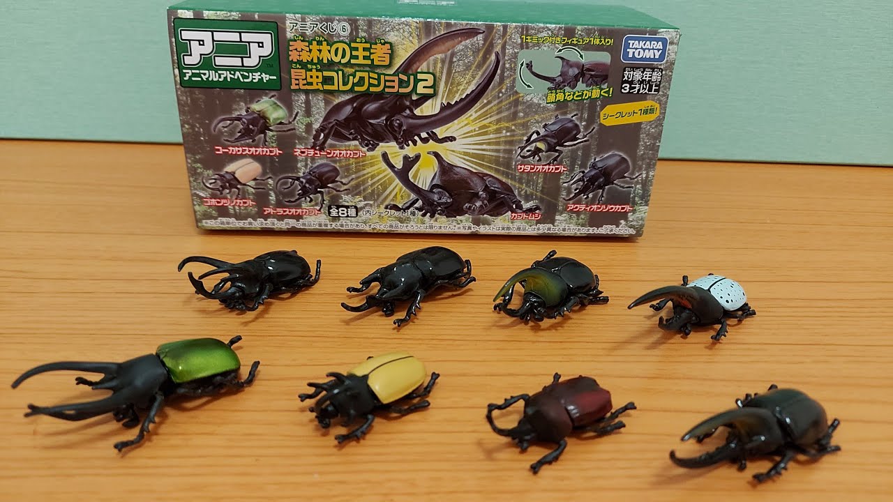 アニアくじ 6 森林の王者 昆虫コレクション2 DP-BOX 開封　Ania　insect　tomy takara 多美 昆蟲 甲蟲　鍬形蟲 動物　抽抽樂　 開箱