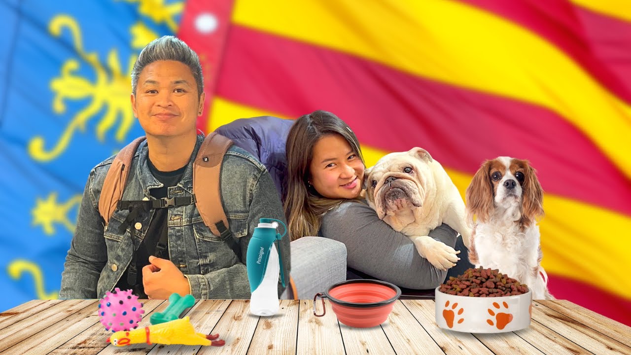 Is it Dog Friendly in Valencia Spain?