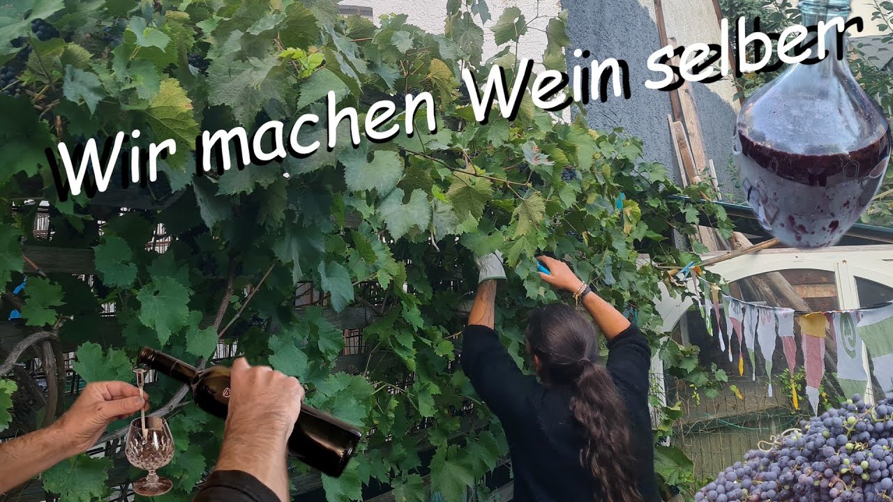 Wein selber machen kurz erkl&auml;rt von ViLou siblings diy vinho wine