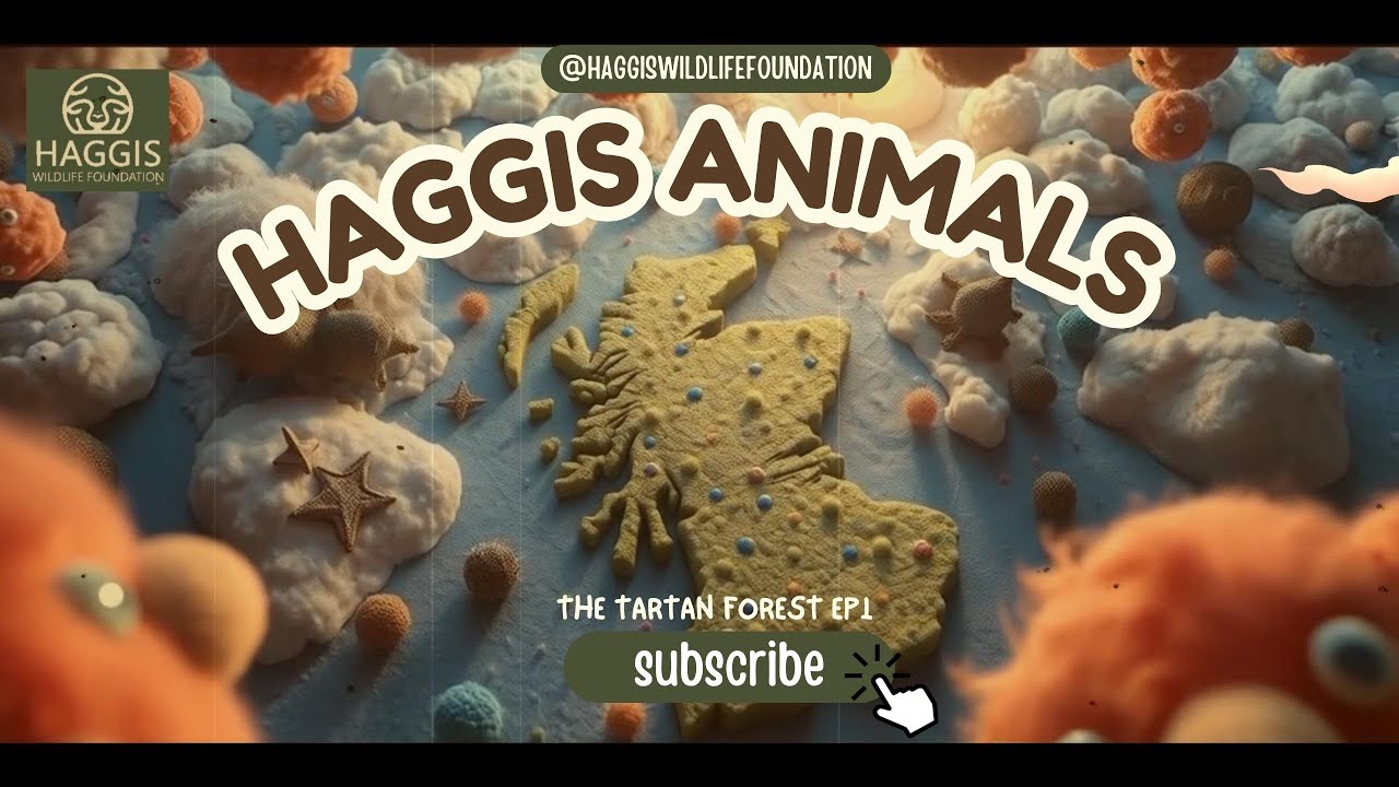 The Haggis Animal of Tartan Forest | Animated Scottish Adventure