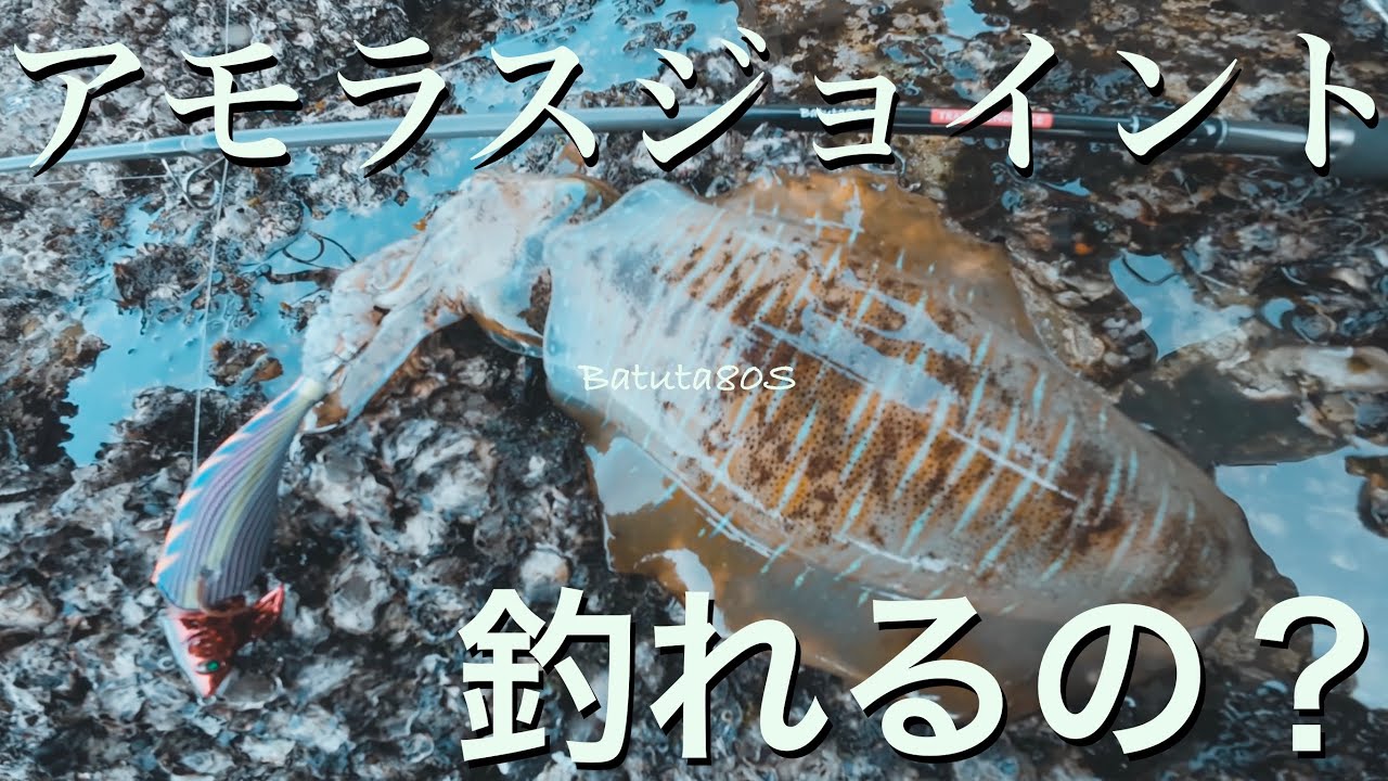 アモラスジョイント使ってみた的な動画　やますてぃ　transcendence  春イカ　春エギング　Batuta80S