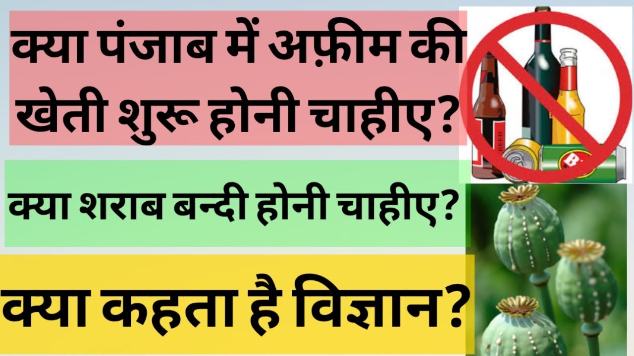Decriminalization of drugs in India, in Hindi/Legalisation Of Opium / अफीम की खेती / Afeem di kheti