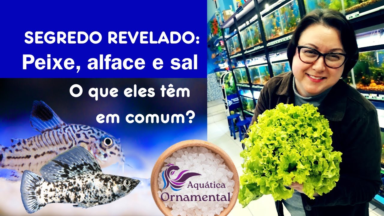 SEGREDO REVELADO: Peixe. alface e sal, o que ele têm em comum?