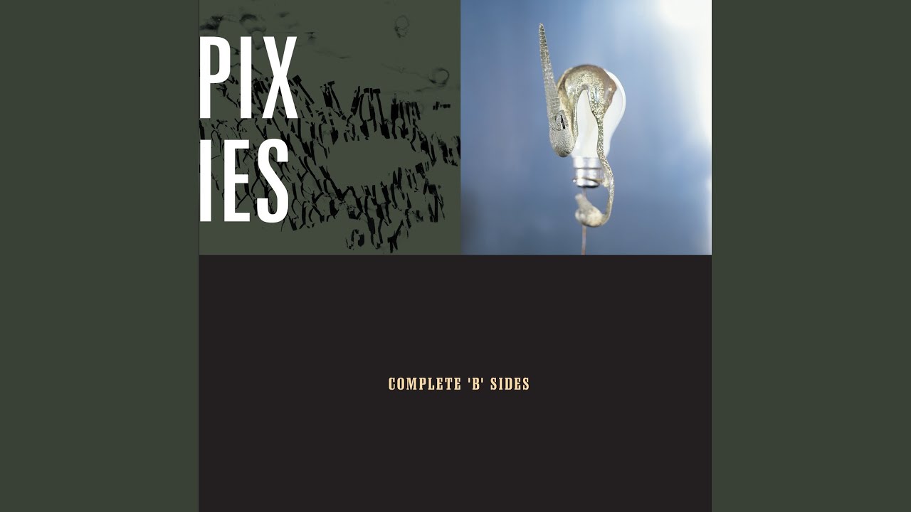 Into the White