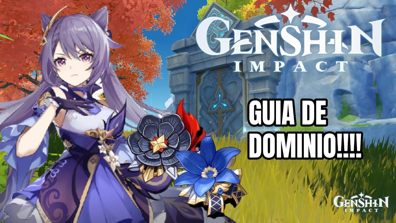 GUIA DE DOMINIO: 