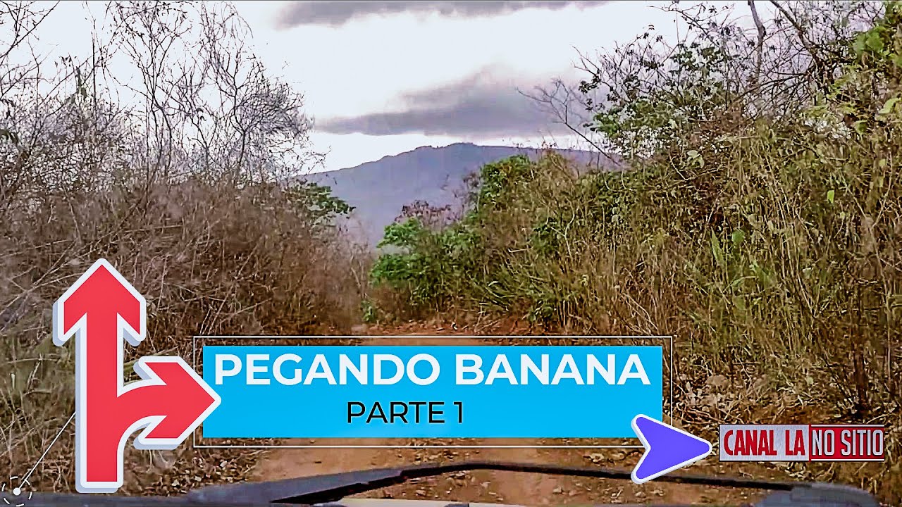 PEGANDO BANANA PARTE 1