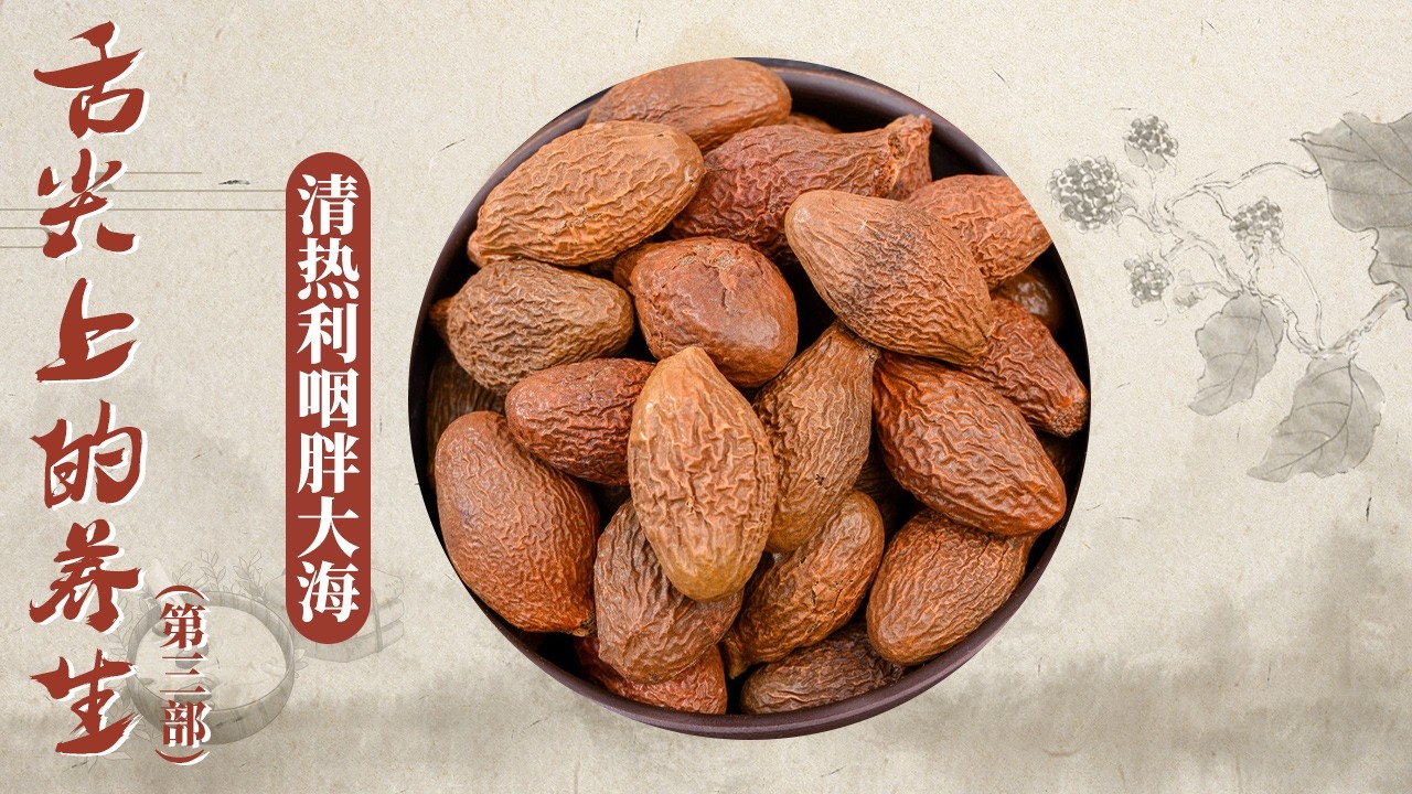 嗓子不舒服 就找胖大海！专门缓解咽喉干痛 既是日常好物 也是中医经典的清热利咽良方！《百家讲坛》 舌尖上的养生（第三部） 15 清热利咽胖大海 20260204 | CCTV百家讲坛官方频道