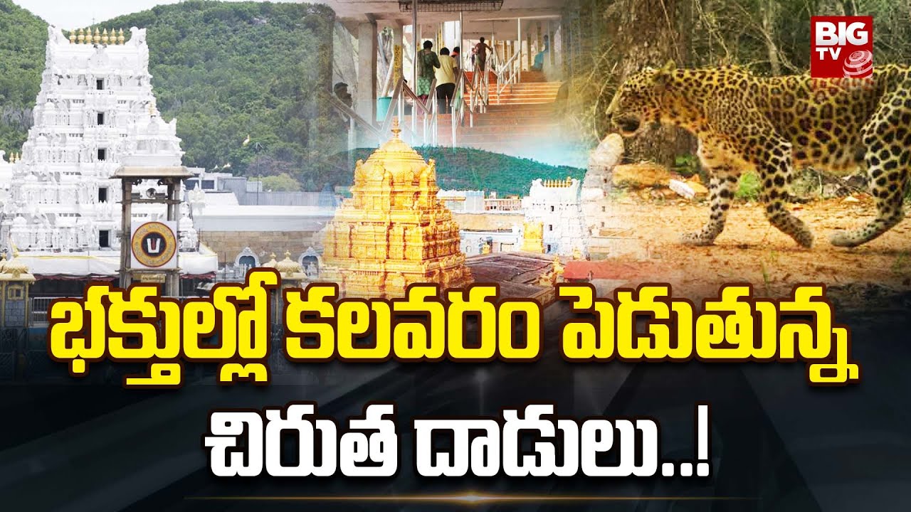 BIG TV Exclusive Ground Report On Alipiri Walk Way | Tirumala Lakshitha Leopard Incident | BIG TV